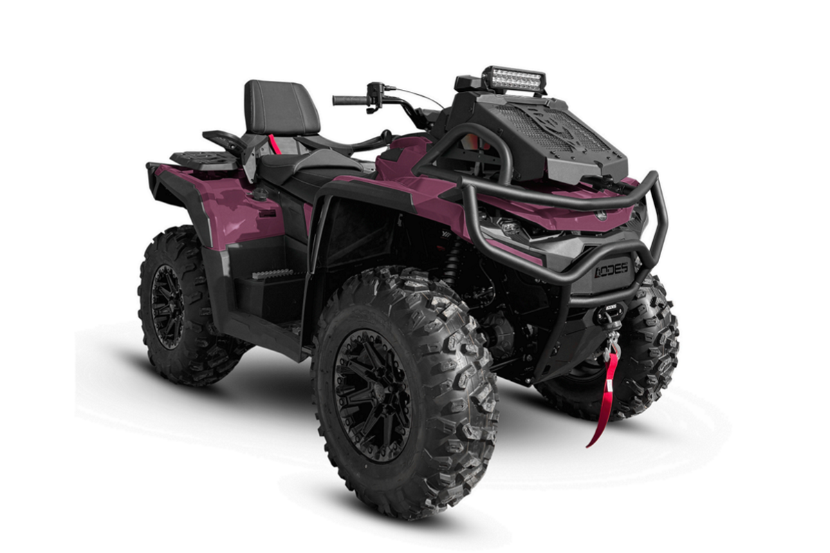 Pathcross MAX 1000 LTD